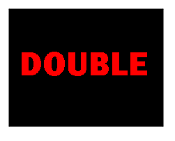 DOUBLE WING DOUBLE WING