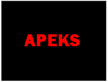 APEKS APEKS
