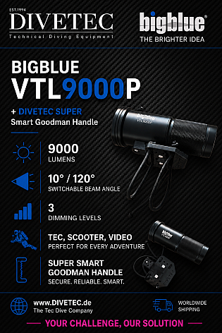 BigBlue VTL9000P + Super Smart Googman Handle